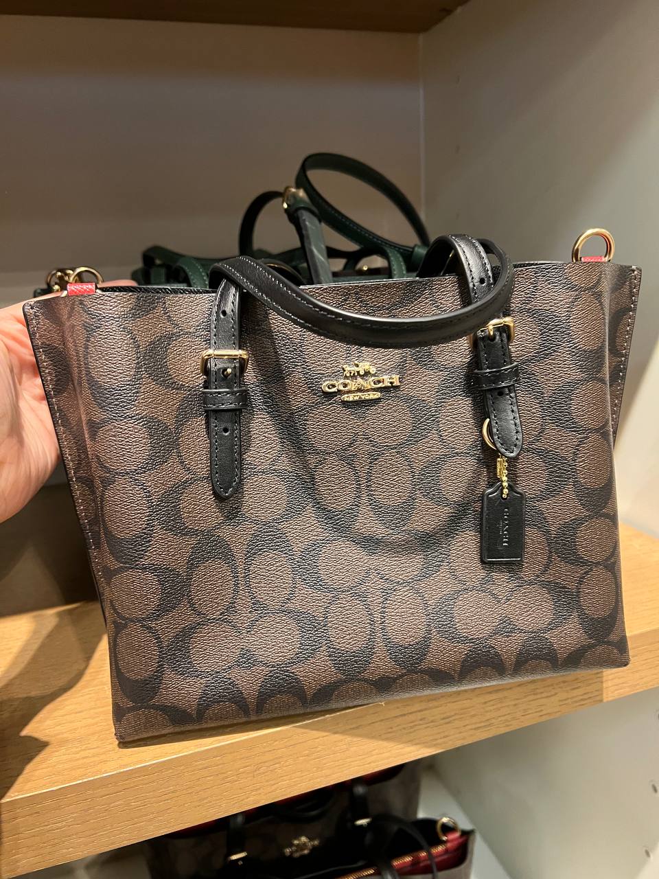 (Pre Order) Coach Mollie 25 Brown Black