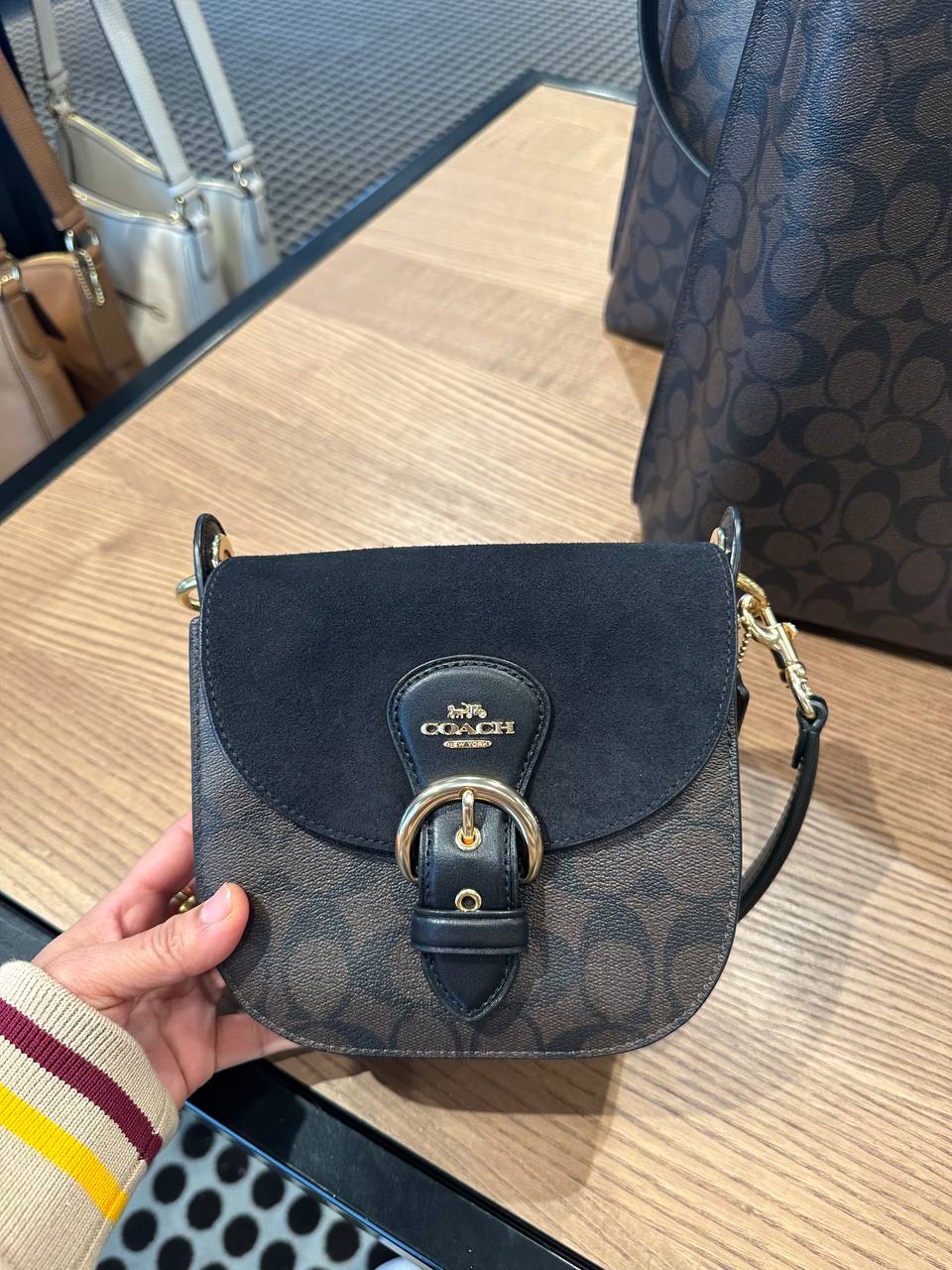 (Pre Order) coach kleo 17 signature suede brown black - Amory