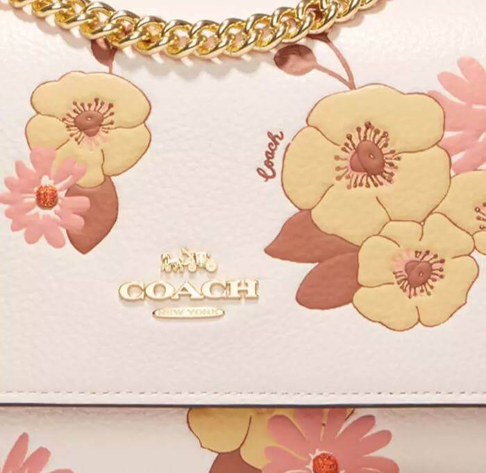 Coach klare crossbody floral cluster chalk - Image 4